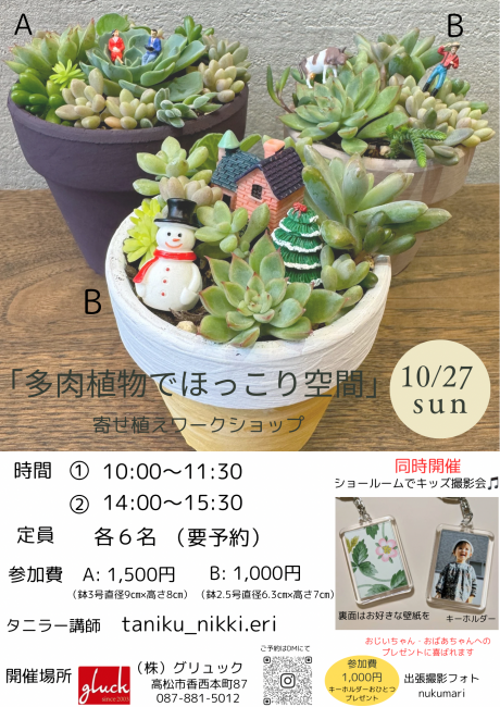 多肉植物でほっこり空間」ワークショップブログ詳細｜株式会社グリュック